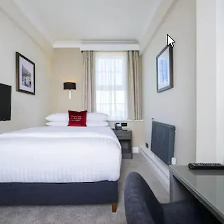 فندق The Metropole